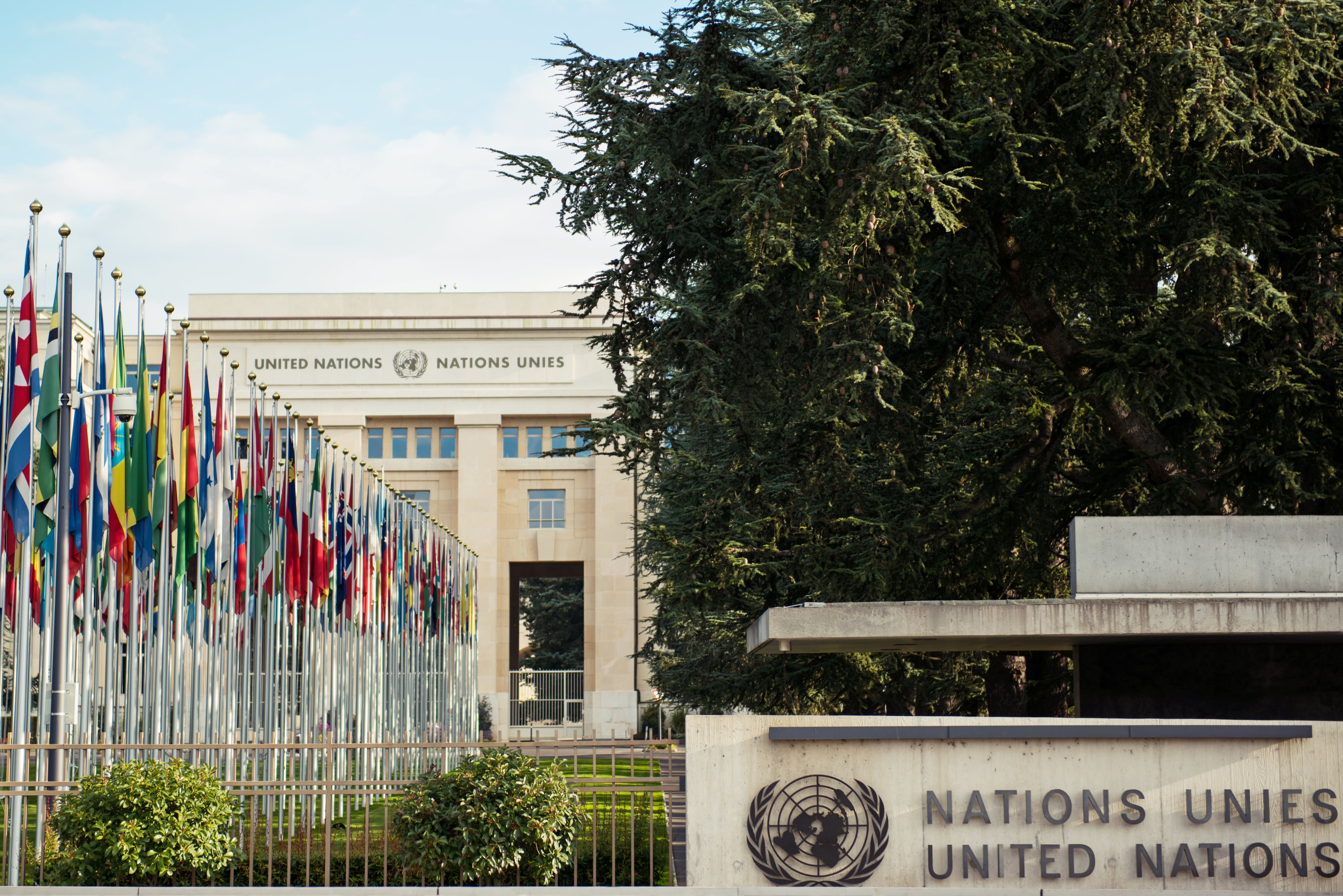 Actualmente, la Organización de las Naciones Unidas (ONU) está integrada por 193 Estados miembros.
