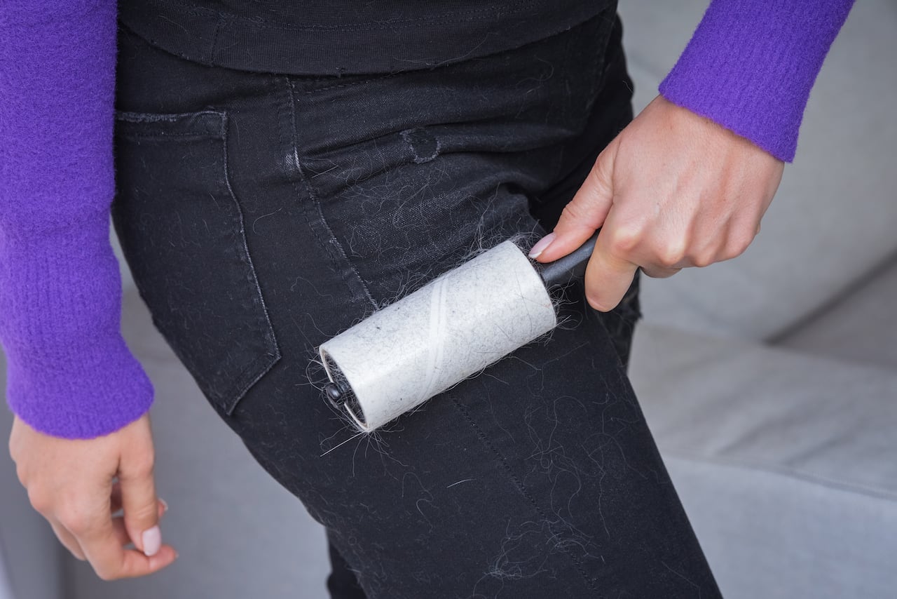 El pelo de las mascotas se puede pegar en la ropa negra.