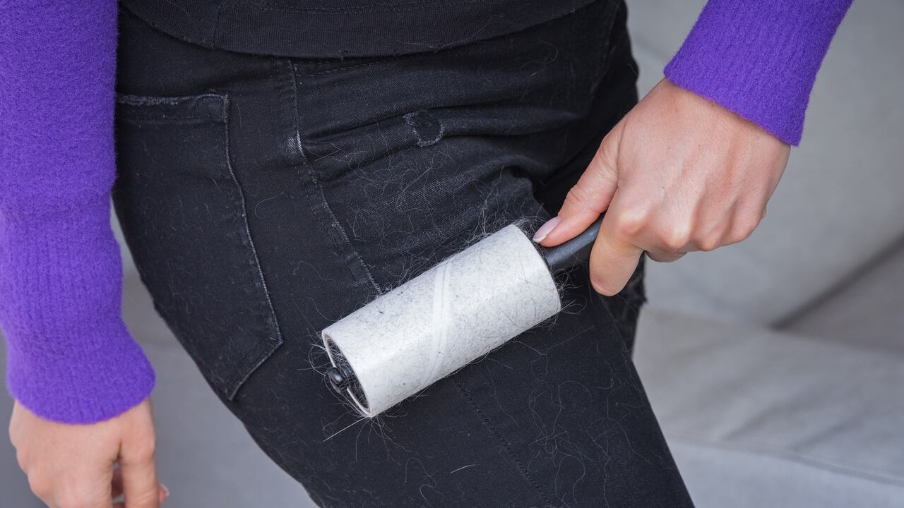 El pelo de las mascotas se puede pegar en la ropa negra.