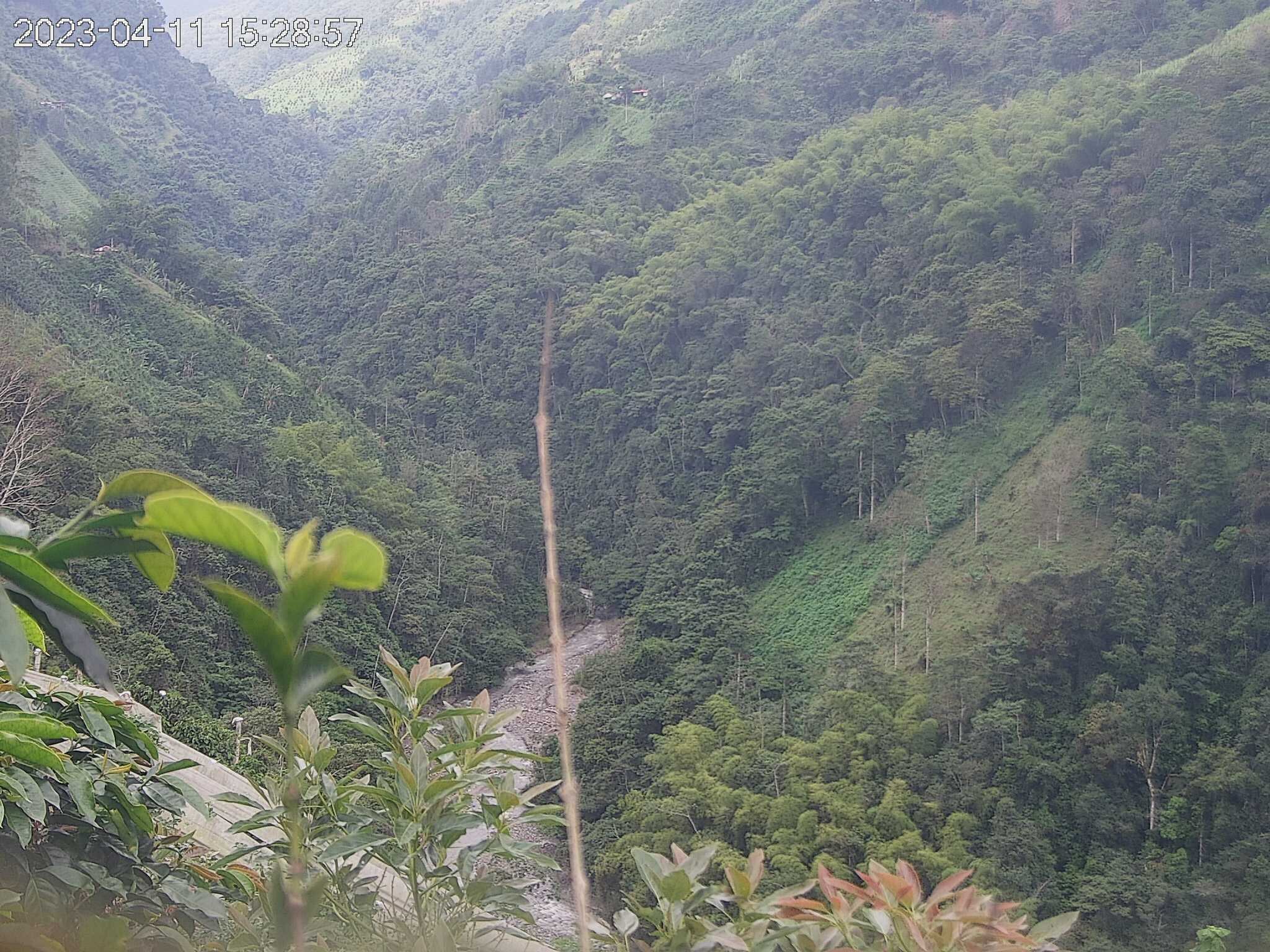 Los departamento de Tolima, Caldas y Risaralda declararon la calamidad pública