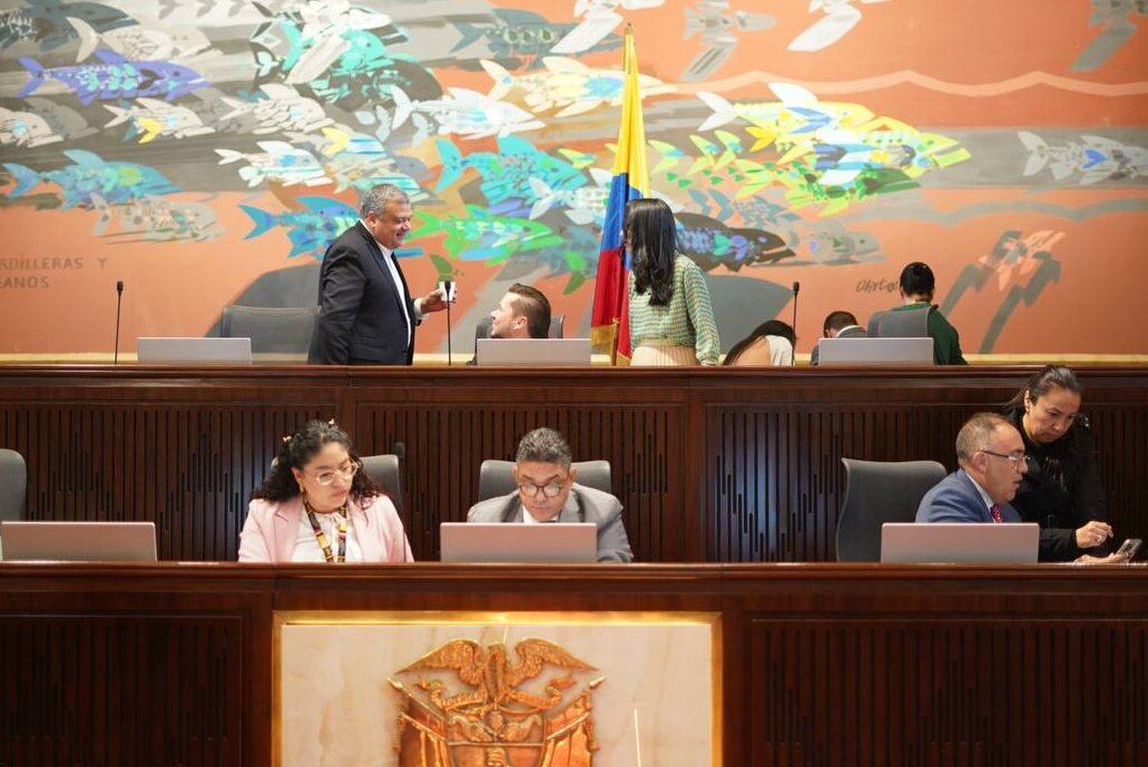 Debate de la reforma a la salud.