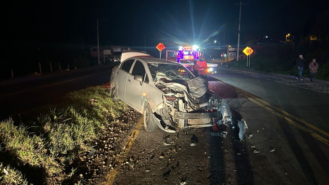 Impactante accidente: teniente chocó contra un búfalo que andaba suelto: “El dueño no quiere responder y niega ser el propietario”, denuncia