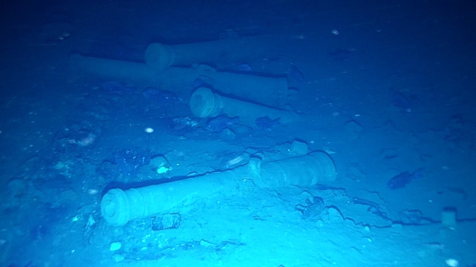 Objetos recuperados del galeón San José