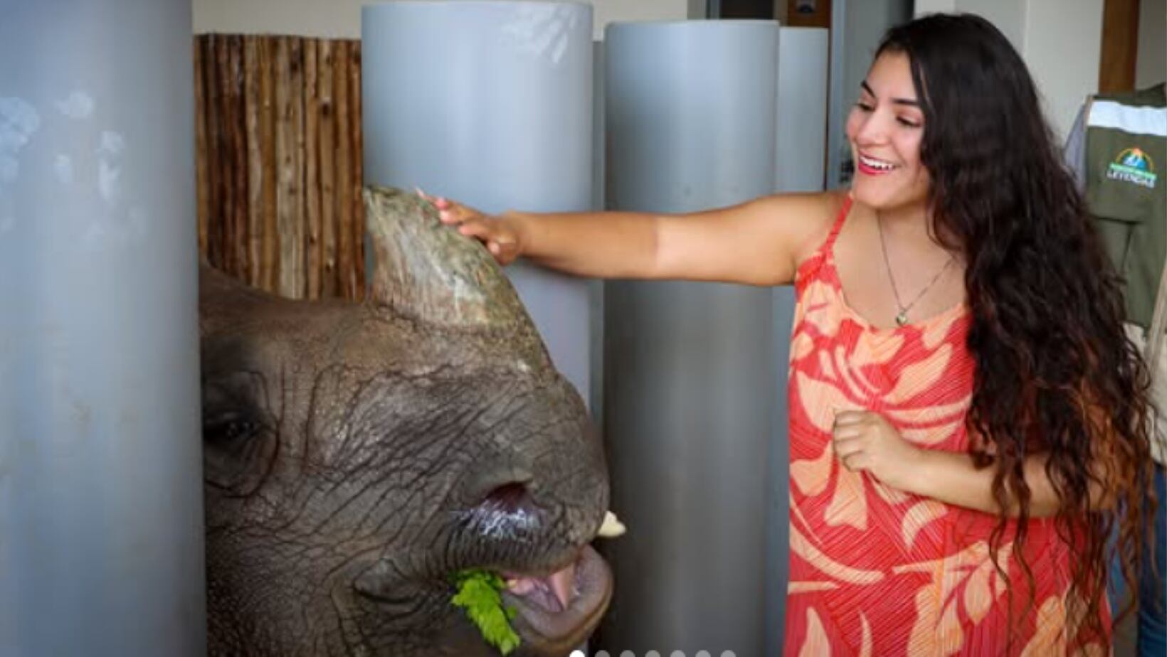 Parque de Las Leyendas, en donde podrá admirar una gran diversidad de fauna