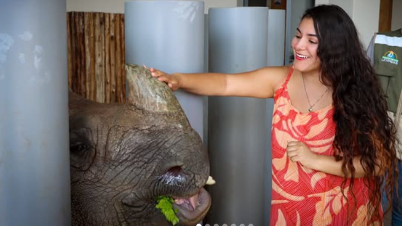 Parque de Las Leyendas, en donde podrá admirar una gran diversidad de fauna