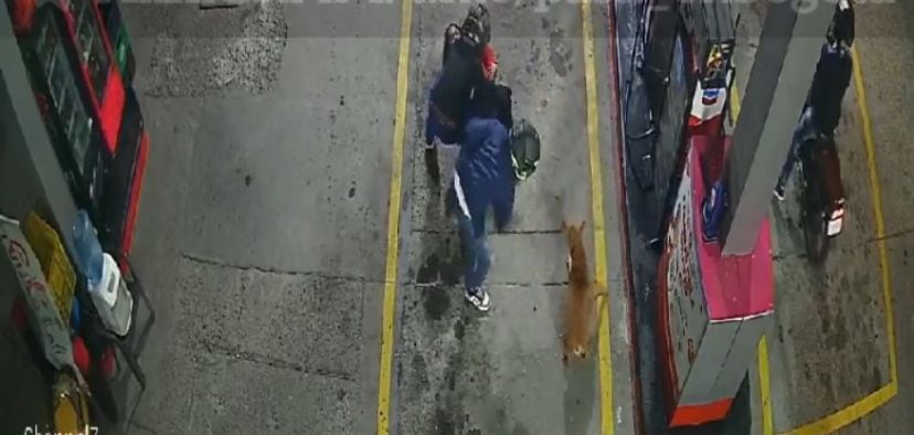 Con valentía y ladridos fuertes, el perro se enfrenta a los ladrones, logrando frenar momentáneamente su avance.