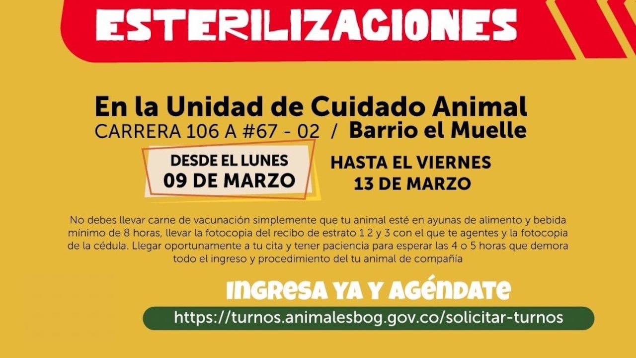 Esterilización de mascotas en Bogotá