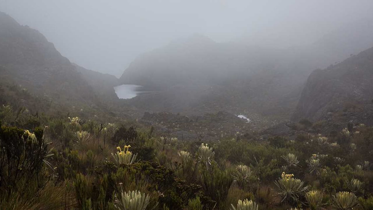 El pleito por el Páramo de Santurbán se registra desde hace varios años. Foto: archivo/Semana.
