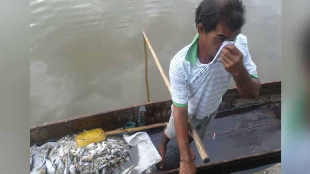 Según Corpamag unas 10 toneladas de peces aparecieron muertos en el complejo de la Ciénaga de Pajarales.