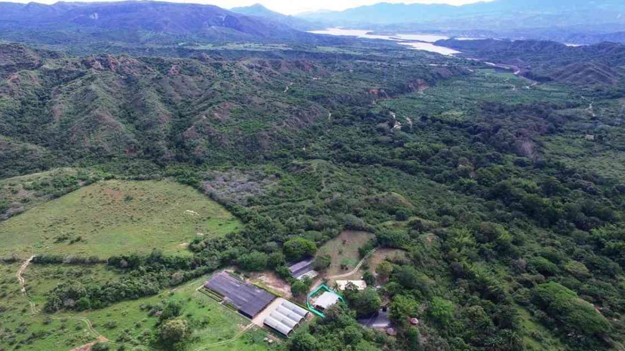 Bosque seco tropical El Quimbo, en el departamento del Huila. Foto: Enel