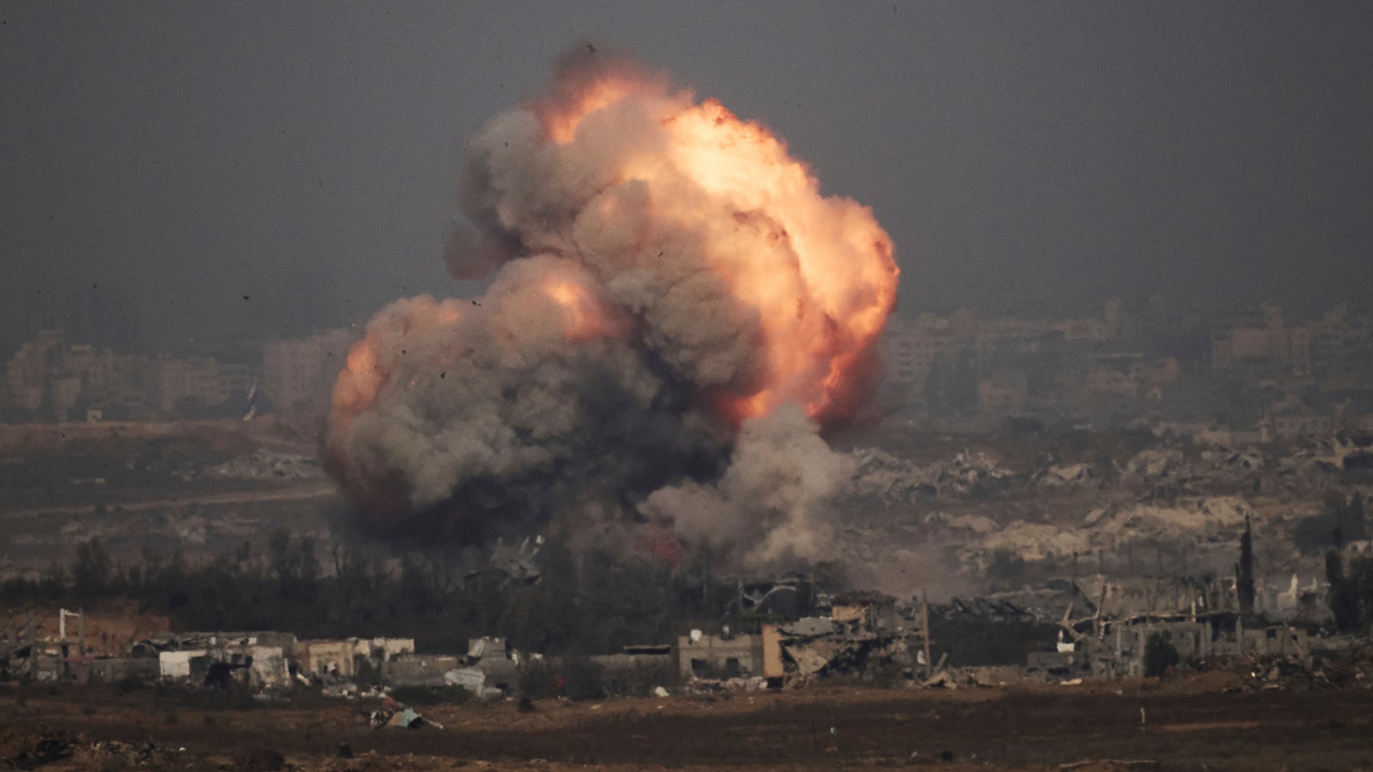 Fotos de la semana 11 julio