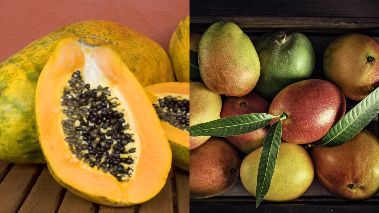 El mango y la papaya son frutas con una gran variedad de nutrientes para el organismo.