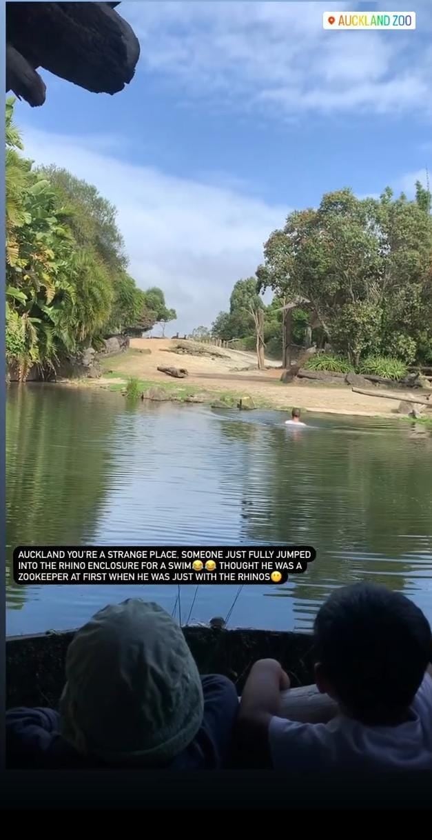 Una usuaria de Instagram grabó el momento exacto en que el hombre nadaba tranquilamente en el estanque de los rinocerontes.