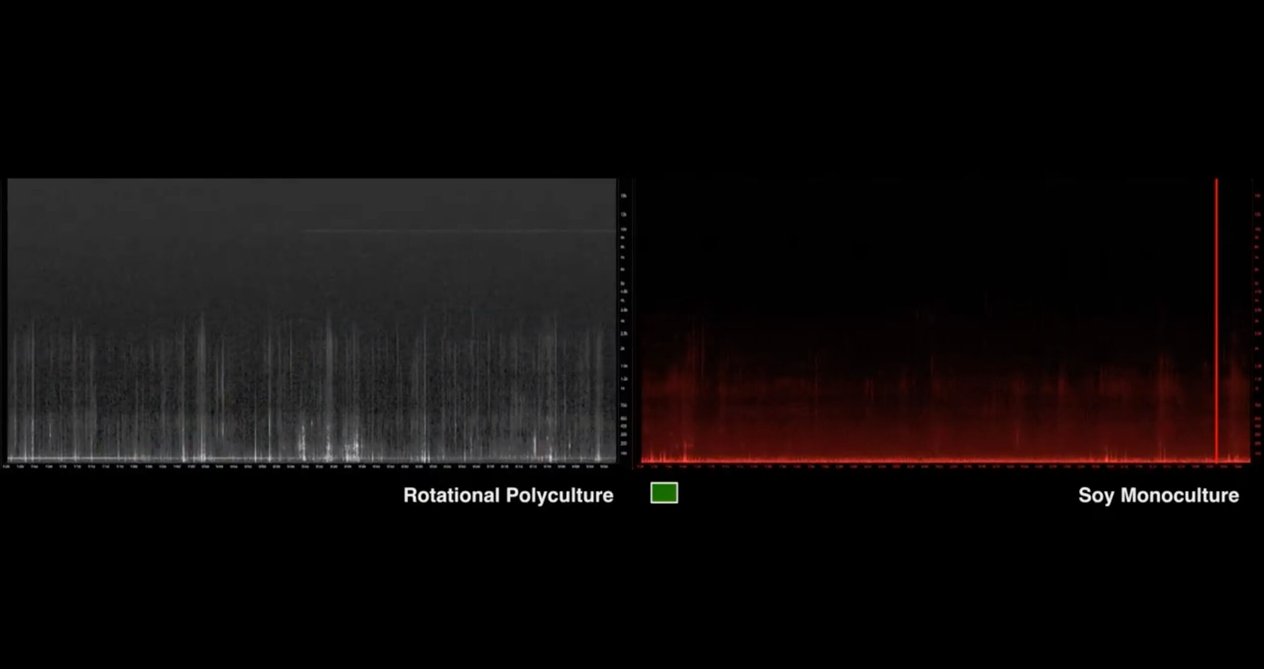 Historia de dos semillas