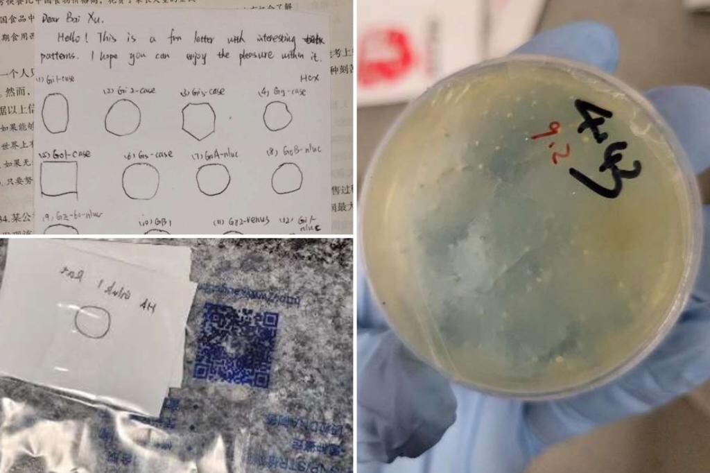 El investigador mintió a los federales sobre el plan secreto.