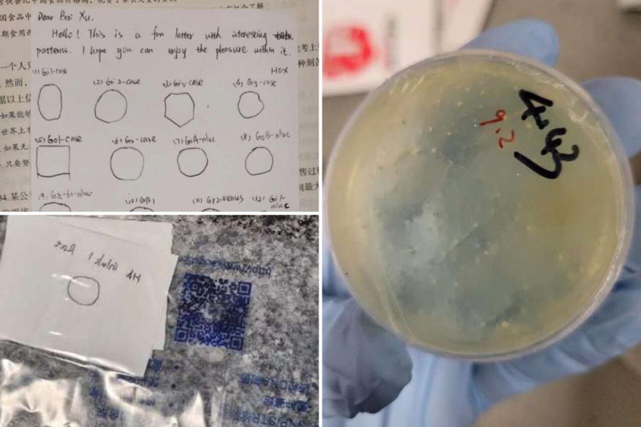 El investigador mintió a los federales sobre el plan secreto.