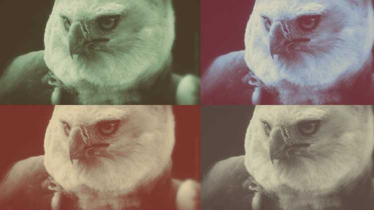 Foto tomada pagina oficial del Museo de Arte de la Universidad Nacional de Colombia