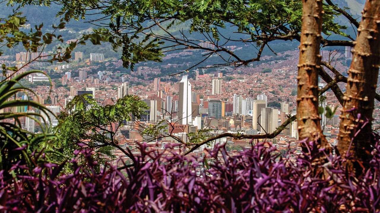 El Área Metropolitana del Valle de Aburrá trabaja en diferentes proyectos y sectores para impulsar ideas de transformación de los diez municipios que lo integra.