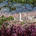 El Área Metropolitana del Valle de Aburrá trabaja en diferentes proyectos y sectores para impulsar ideas de transformación de los diez municipios que lo integra.