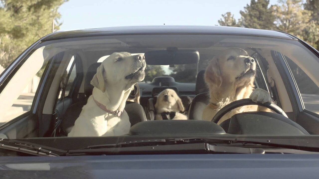 La fuerte conexión entre humanos y animales se hace evidente en estas interesantes campañas. Si eres de los que cree que todavía hay bondad y amistad en este mundo, no te los puedes perder.