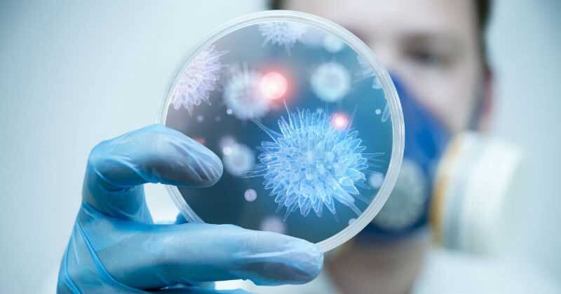 Según datos de la Organización Panamericana de Salud, OPS, la incidencia de la enfermedad meningocócica invasiva es más elevada en niños menores de un año y es relativamente alta hasta los 5 años. 