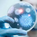 #1 Los investigadores Viktor Lemeshko y Sergio Orduz de Medellín identificaron que un tipo de péptido (grupo de aminoácidos) es capaz de combatir la bacteria responsable de la enfermedad diarreica grave (EDA), así como el origen de la foliculitis, conjuntivitis, meningitis y neumonía. De igual manera, establecieron que el péptido combate el microorganismo responsable del 10% de las infecciones nosocomiales (las que se adquieren en centros de salud).