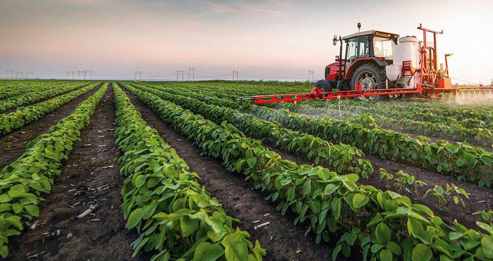 Exportaciones agroindustriales crecieron 4,8% a octubre de 2020.