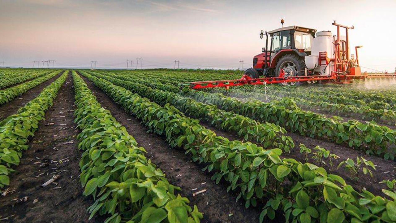 Exportaciones agroindustriales crecieron 4,8% a octubre de 2020.