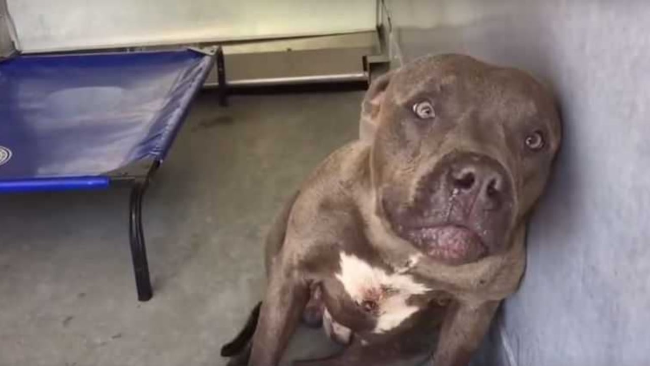 Ocurrió en el barrio Villa del Llano, en Barbosa. (Foto referencia).