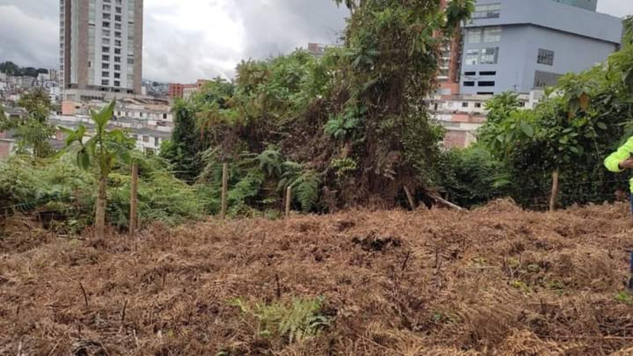 Predio de casi 4.100 metros cuadrados que está ubicado entre los barrios Laureles y La Rambla en la comuna Palogrande de Manizales
