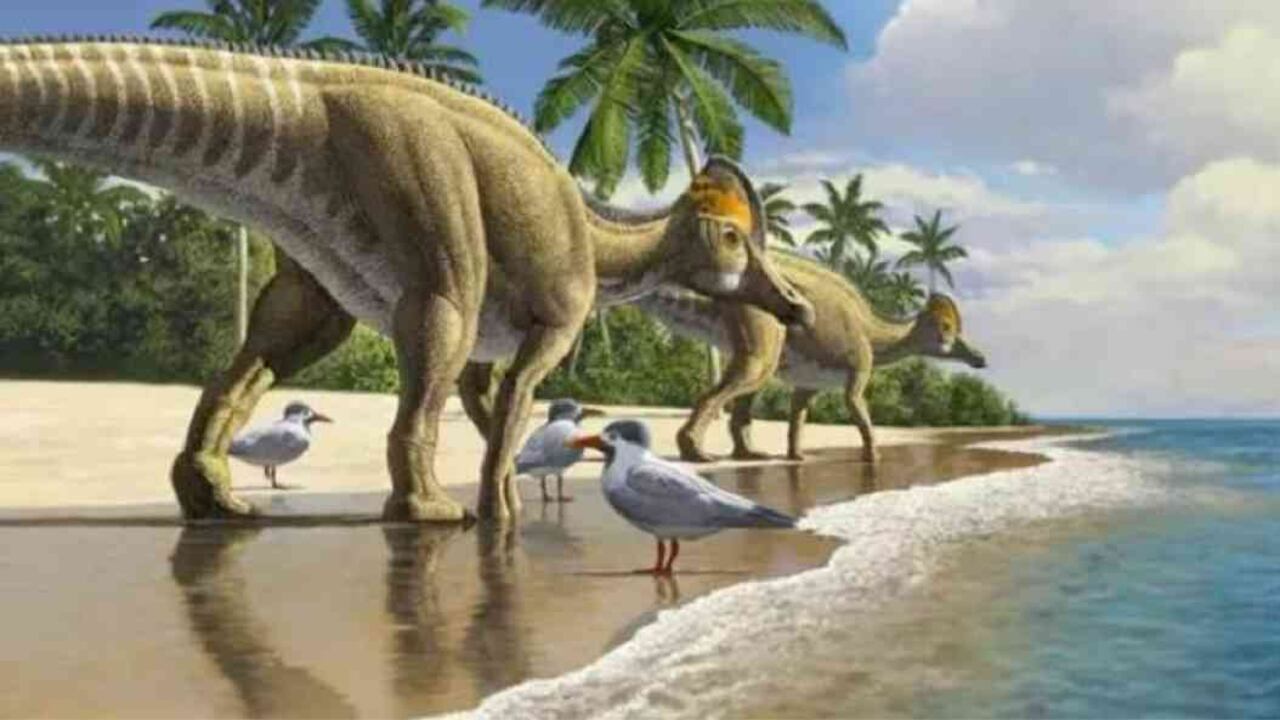 Los dinosaurios pico de pato pudieron haber cruzado desde Norte América hasta África. Foto: Raúl Martín