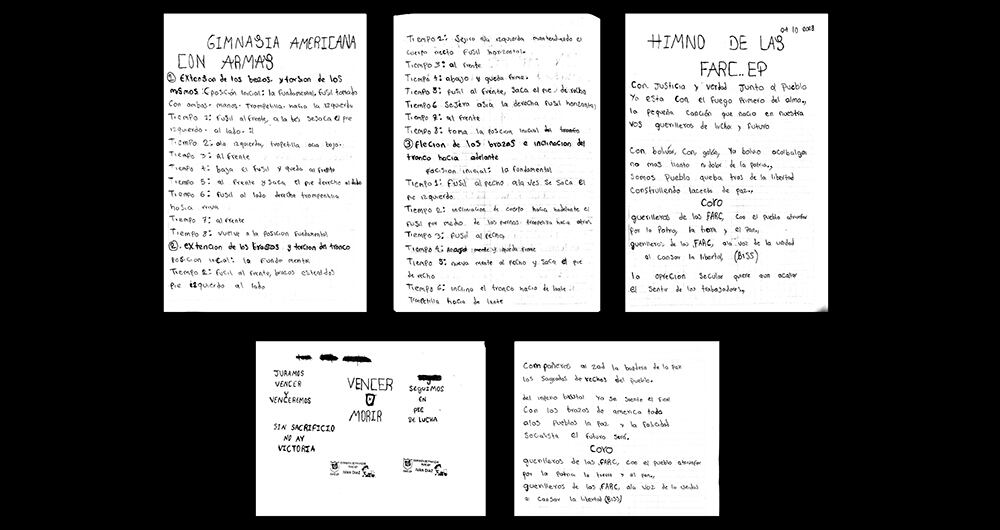   Al igual que en la época de la guerrilla de las Farc,estas disidencias tienen su pénsum académico. Difunden su himno, estatutos y manifiestos del Partido Comunista.