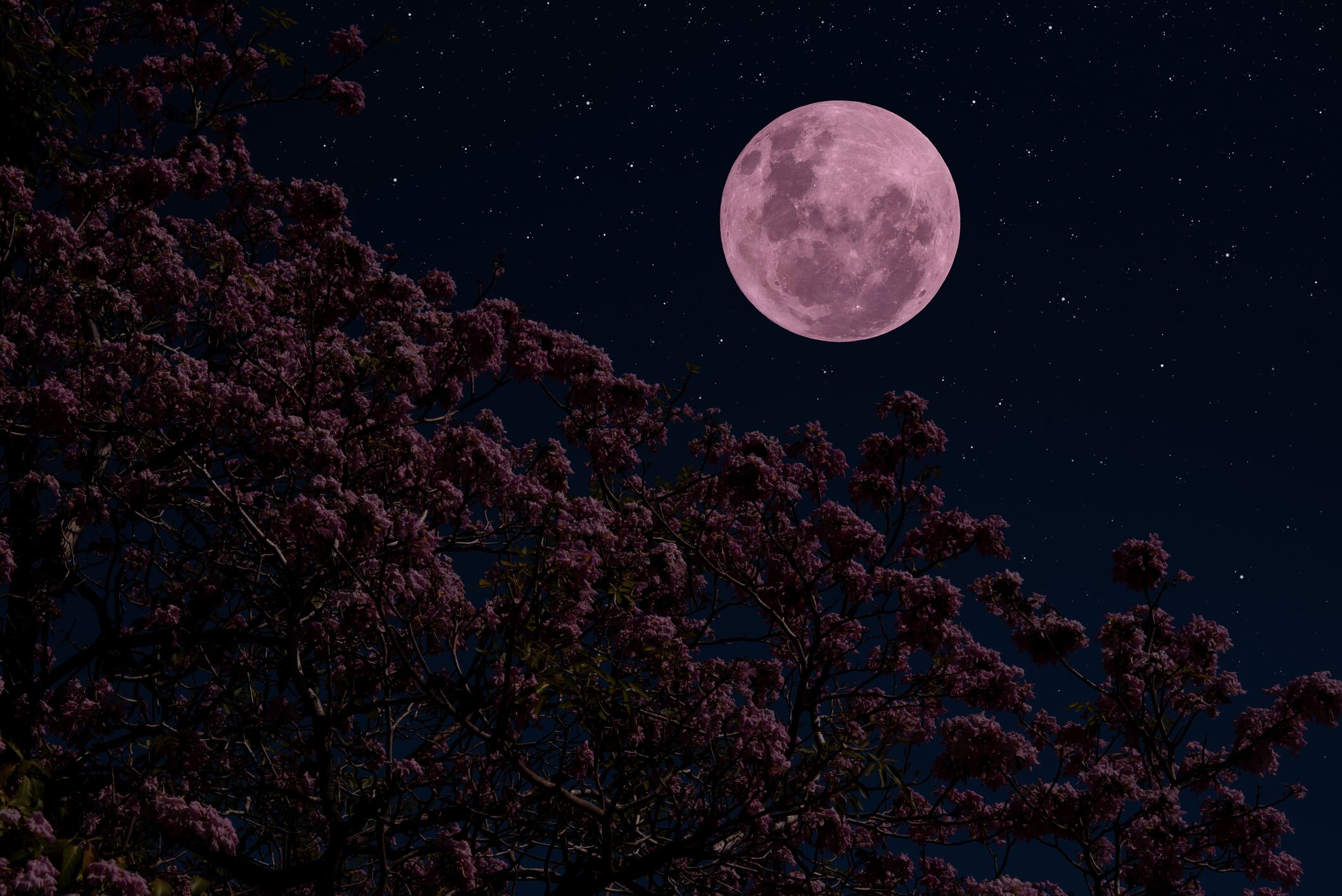 De acuerdo con el calendario lunar de 2024, los días en mayo en los que la luna llena se asomará ofrecen oportunidades únicas para contemplar el universo.