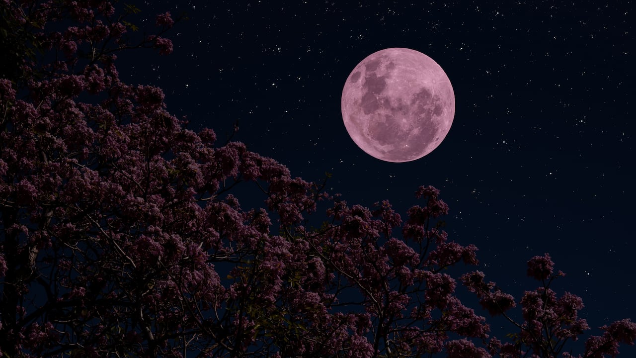 Mayo de 2024 promete ser un mes lleno de asombro celestial, con varios días programados para la aparición de la luna llena según el calendario lunar.