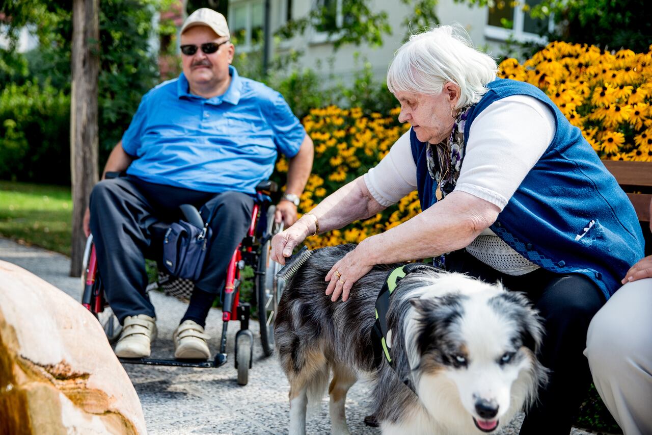 Perros de búsqueda y rescate