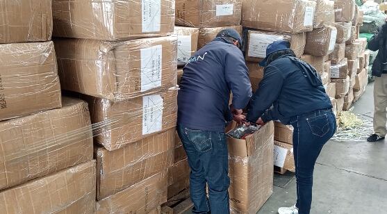 Dian Plan Navidad 2025