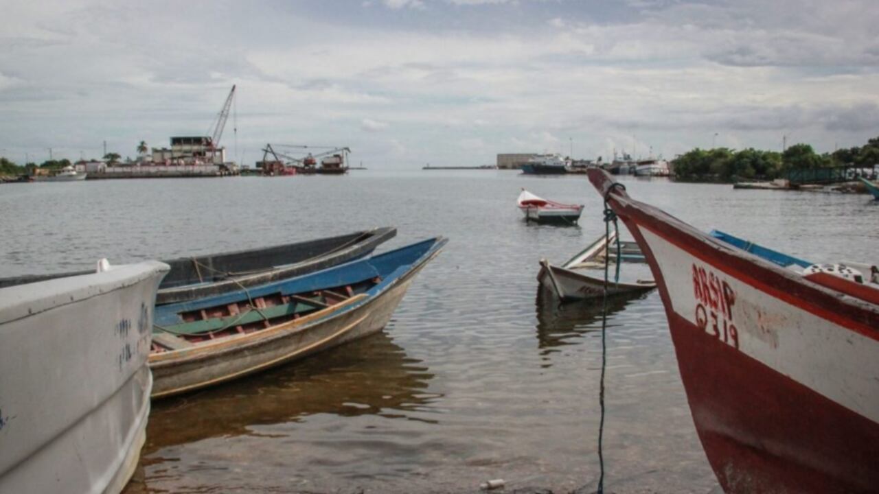 El comisionado para la crisis de migrantes y refugiados venezolanos ante la OEA, David Smolansky, denunció que el gobierno de Trinidad y Tobago debe responsabilizarse por la tragedia donde al menos 14 migrantes forzados fallecieron ahogados.