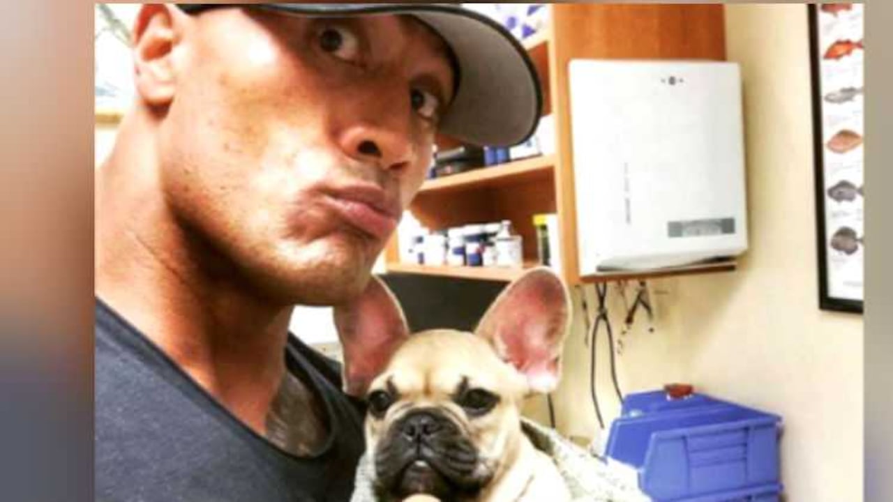 Actor Dwayne Johnson.