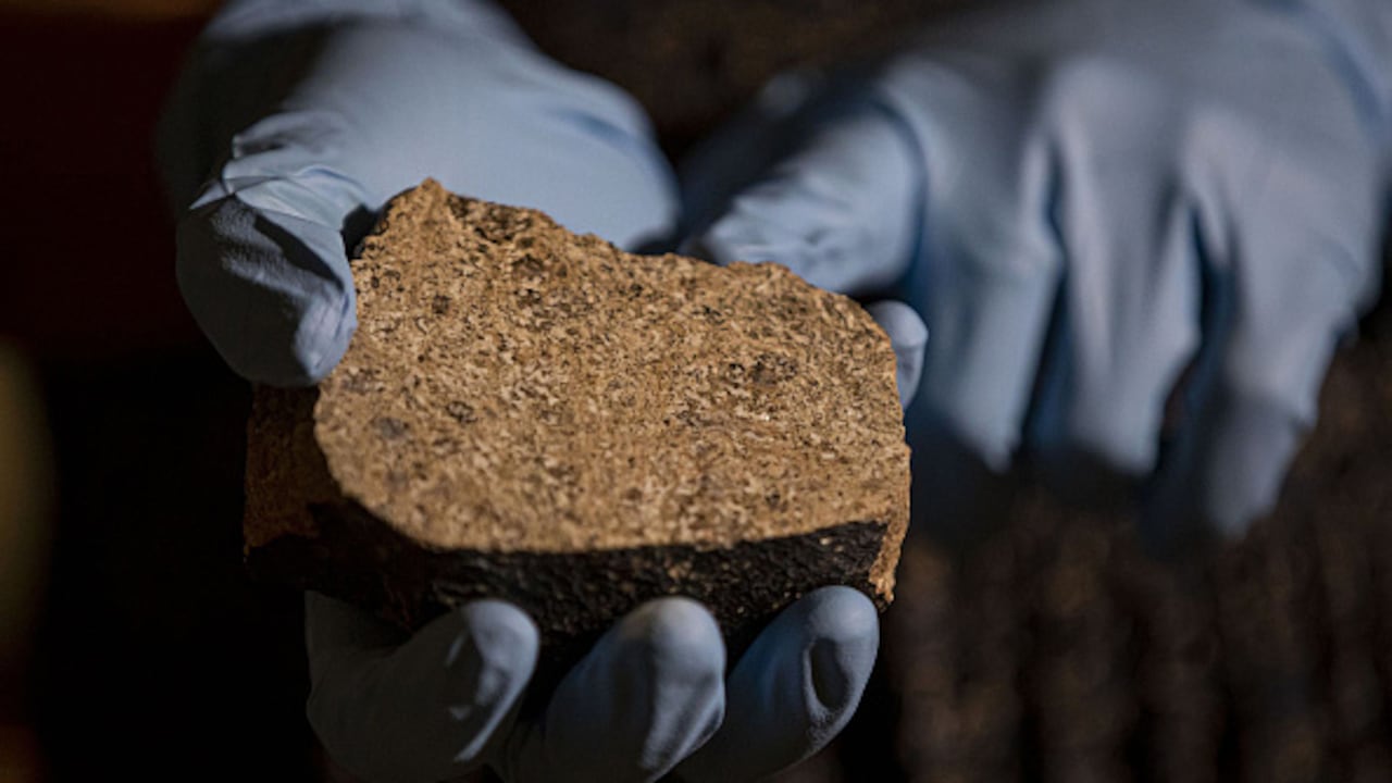 El estudio de los asteroides debería permitir a los científicos comprender mejor la formación del sistema solar y cómo la Tierra se volvió habitable. (Brian Cassella/Chicago Tribune/Tribune News Service via Getty Images)