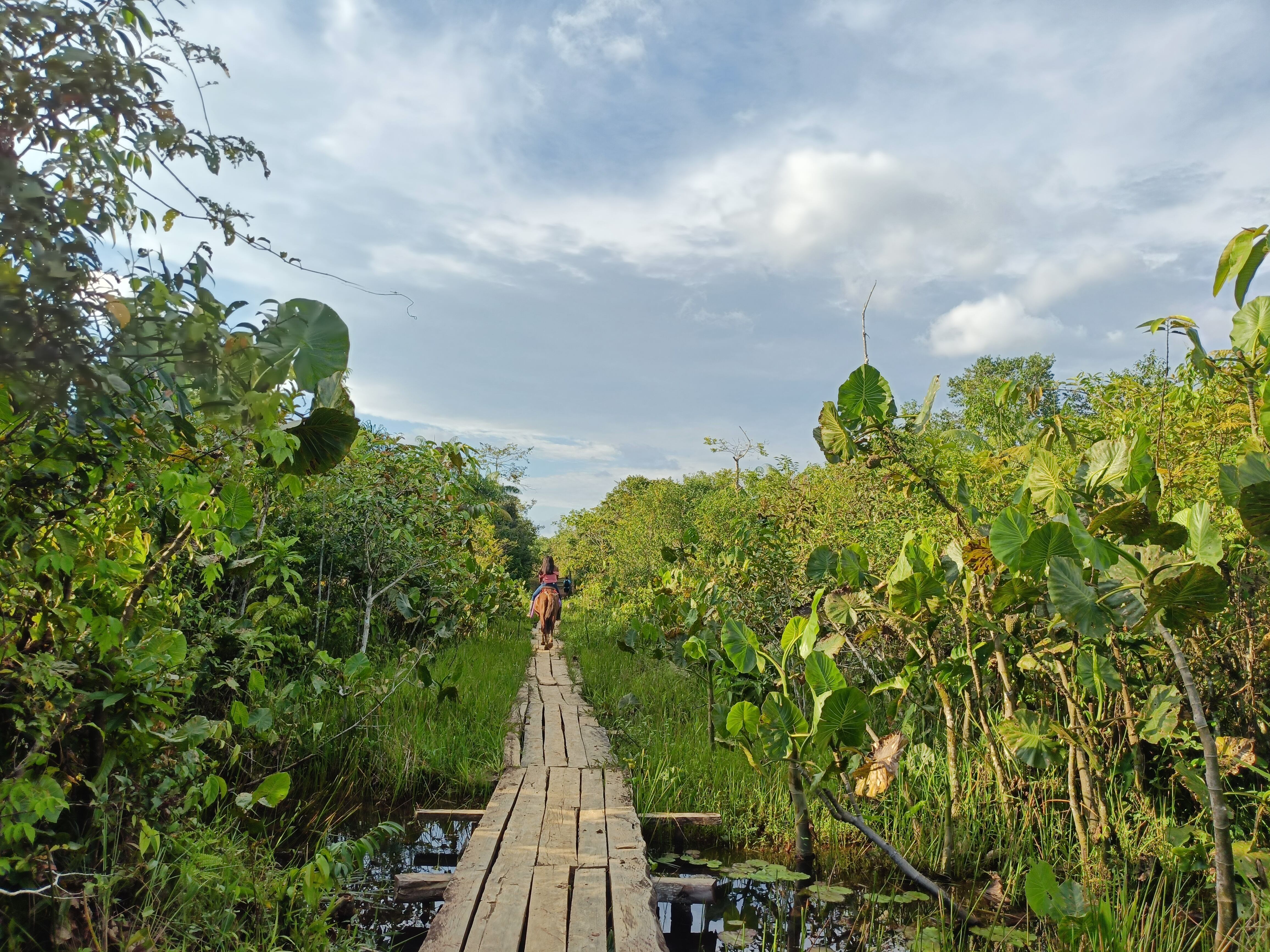 La experiencia de Colombia Exótica busca ofrecer un turismo regenerativo y consciente de la selva.