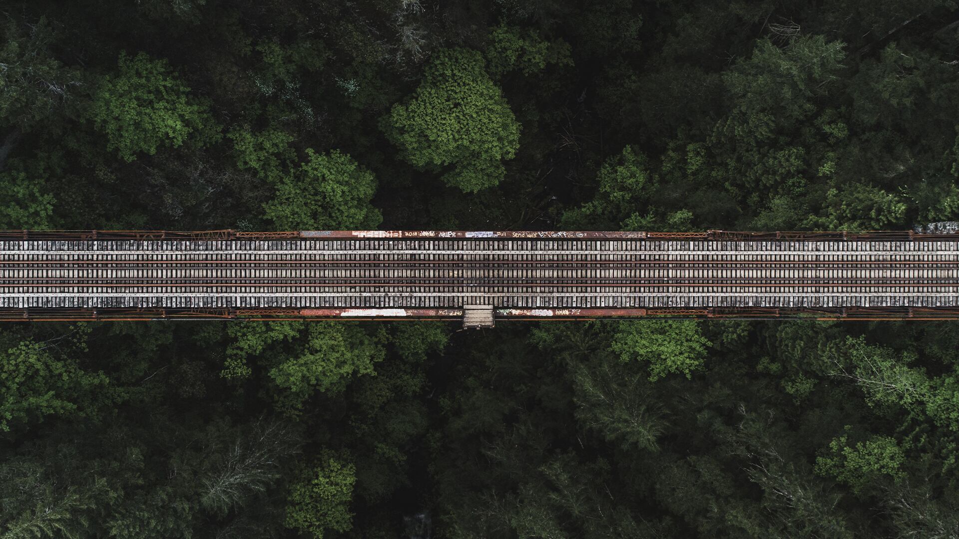 Especial Eje Cafetero, Tren de Cercanías