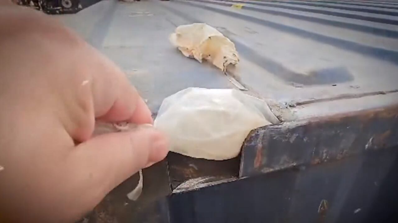Así encontraron impresionante cantidad de cocaína líquida en las paredes de un contenedor que iba para España