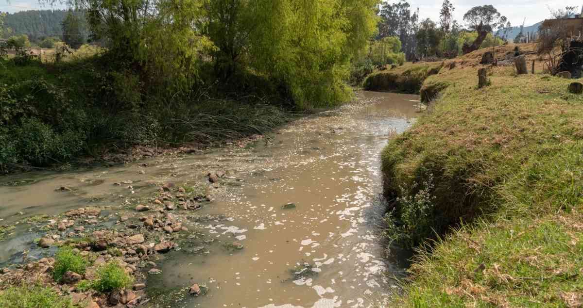 Se planea descontaminar el 70% del Río Bogotá. Foto: Mauricio Franco