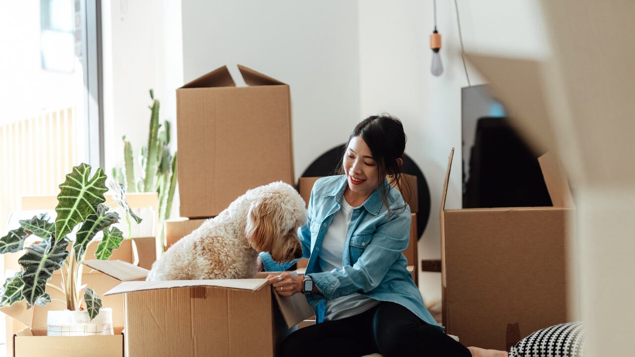 Si no está cómodo con este comportamiento, puede ayudar a su perro a desarrollar mayor independencia