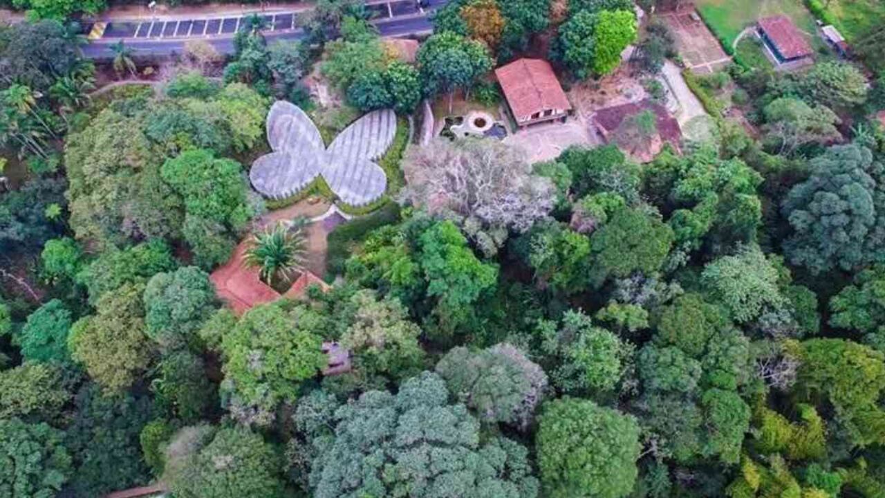 Cerca de 15 hectáreas cubiertas por bosque conforman este pulmón del Quindío. Foto: Jardín Botánico del Quindío - Colombia hoy.