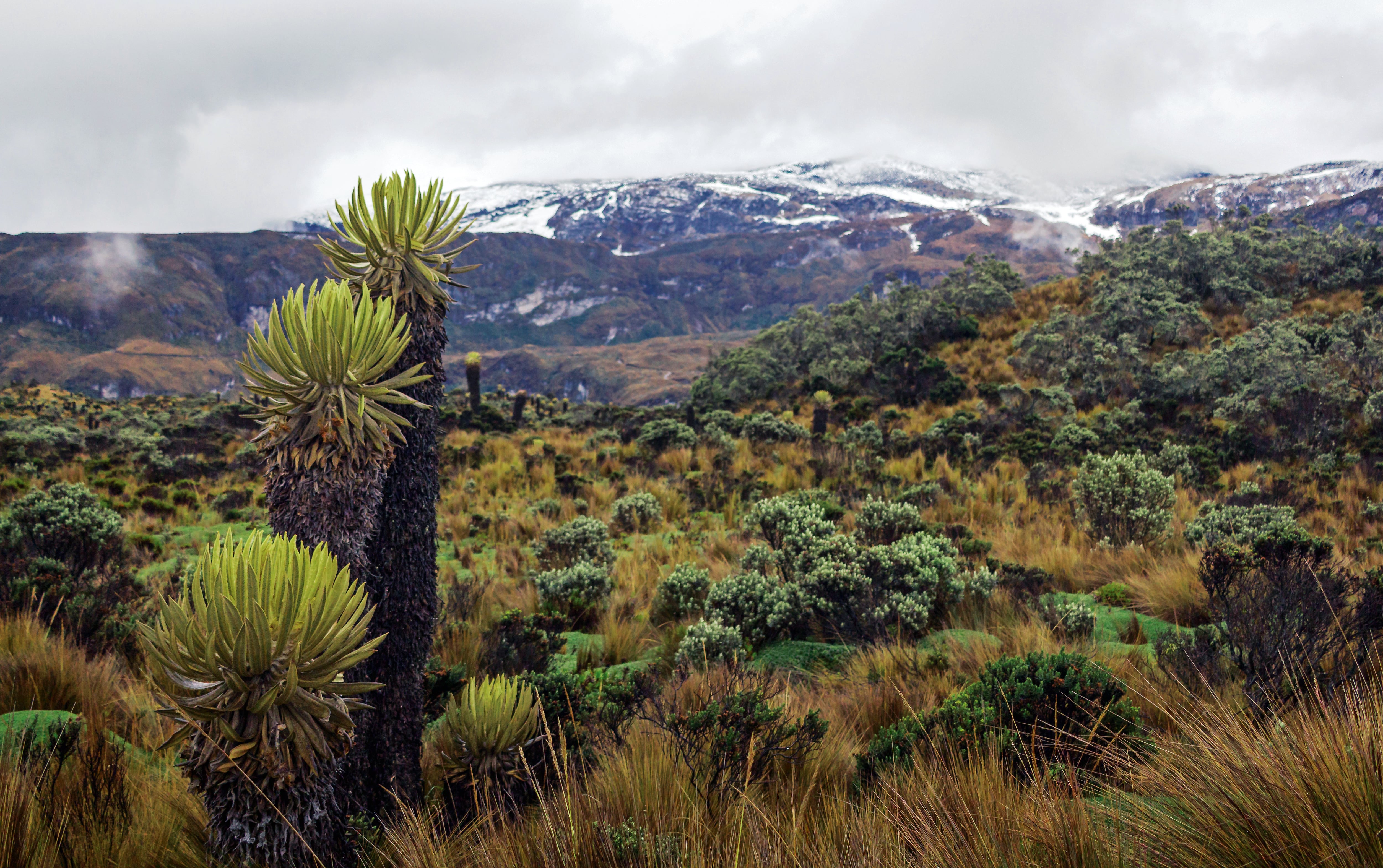 ¿Cuál es el balance de la estrategia nacional para la descarbonización en Colombia?