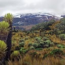 ¿Cuál es el balance de la estrategia nacional para la descarbonización en Colombia?