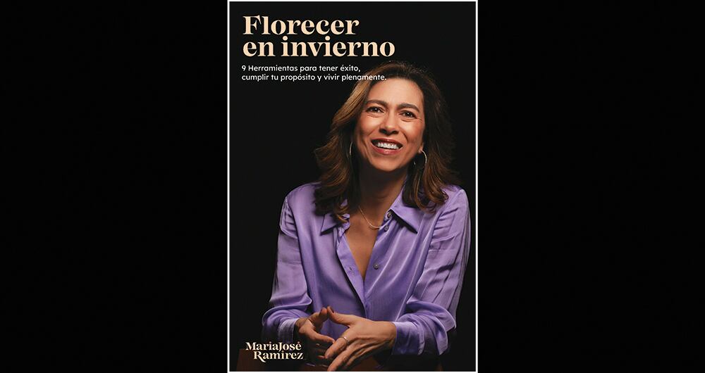 Hamilton vs. Schumacher_3