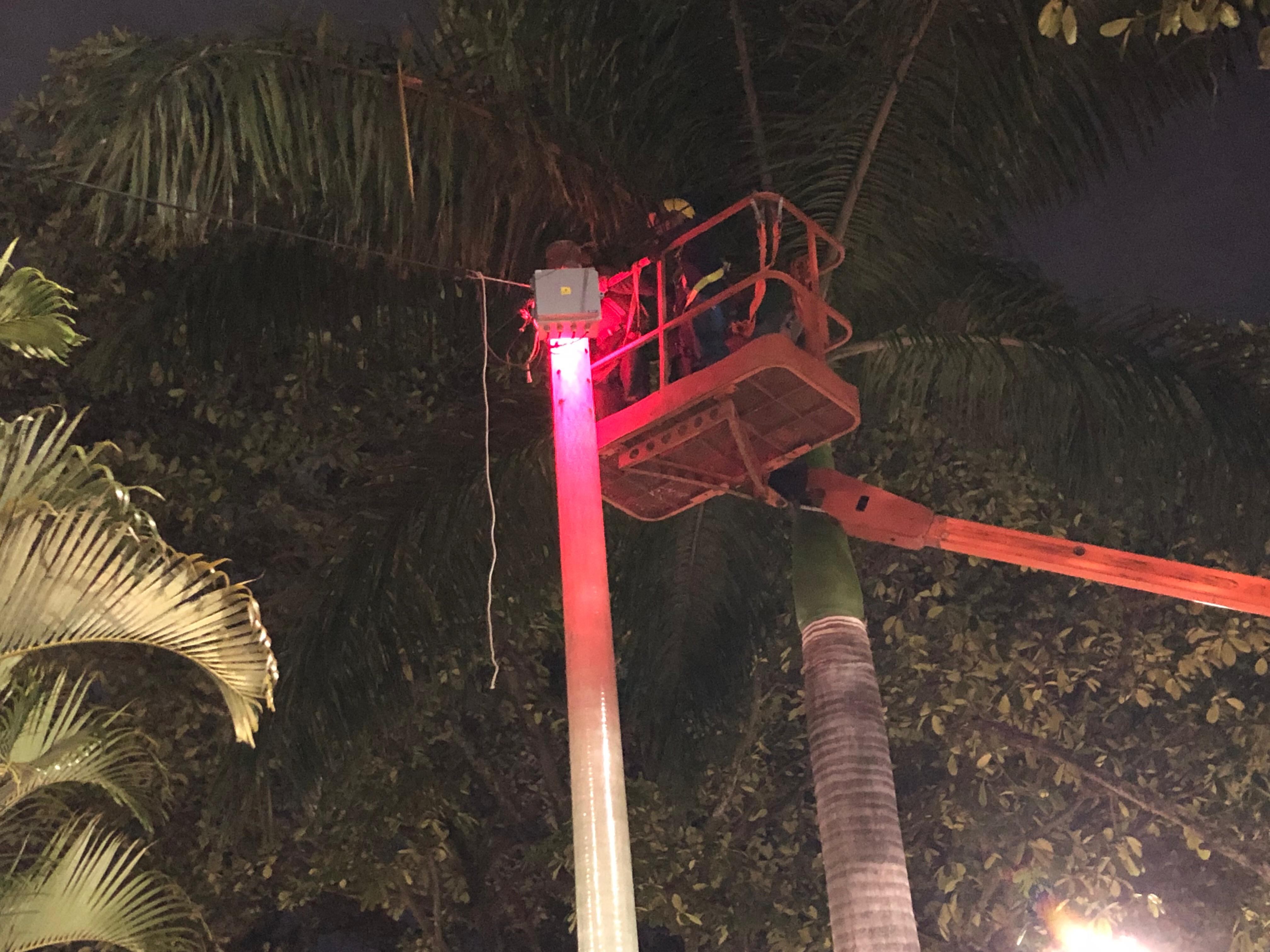 El alumbrado público de la Unidad Deportiva Alberto Galindo está conformado por 175 luces led.