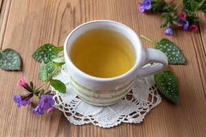 Esta planta medicinal se puede consumir como una infusión.